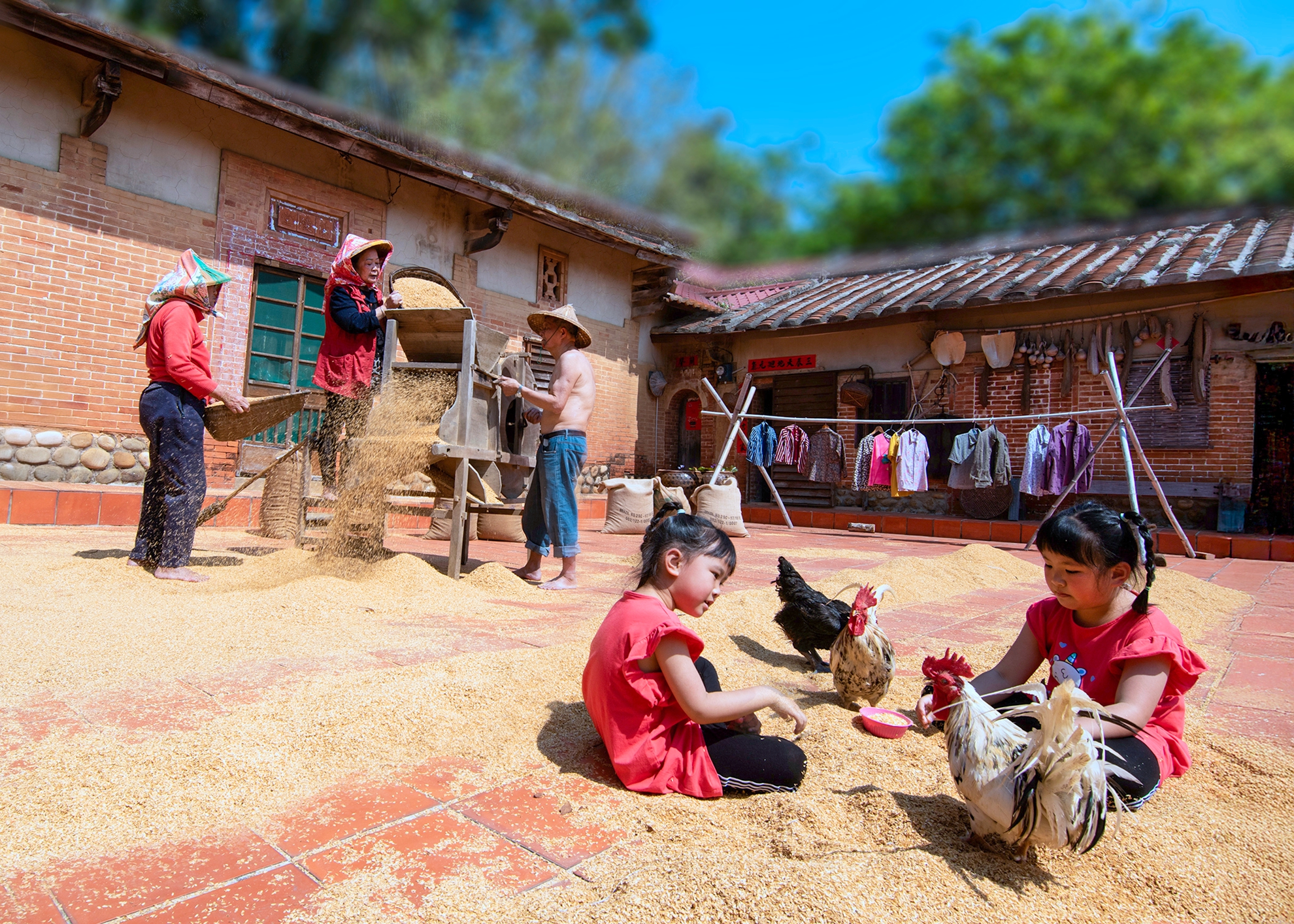 入選  農家樂2  楊清福